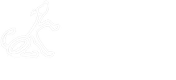 Rescue Legacy
