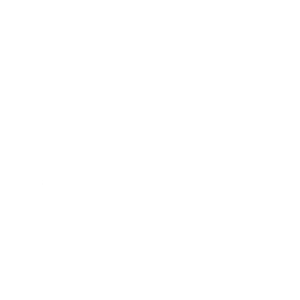RITIKA FILMS