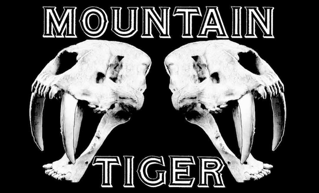 Mountain Tiger