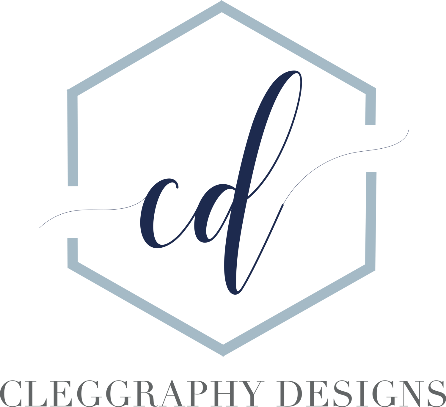  Cleggraphy Designs