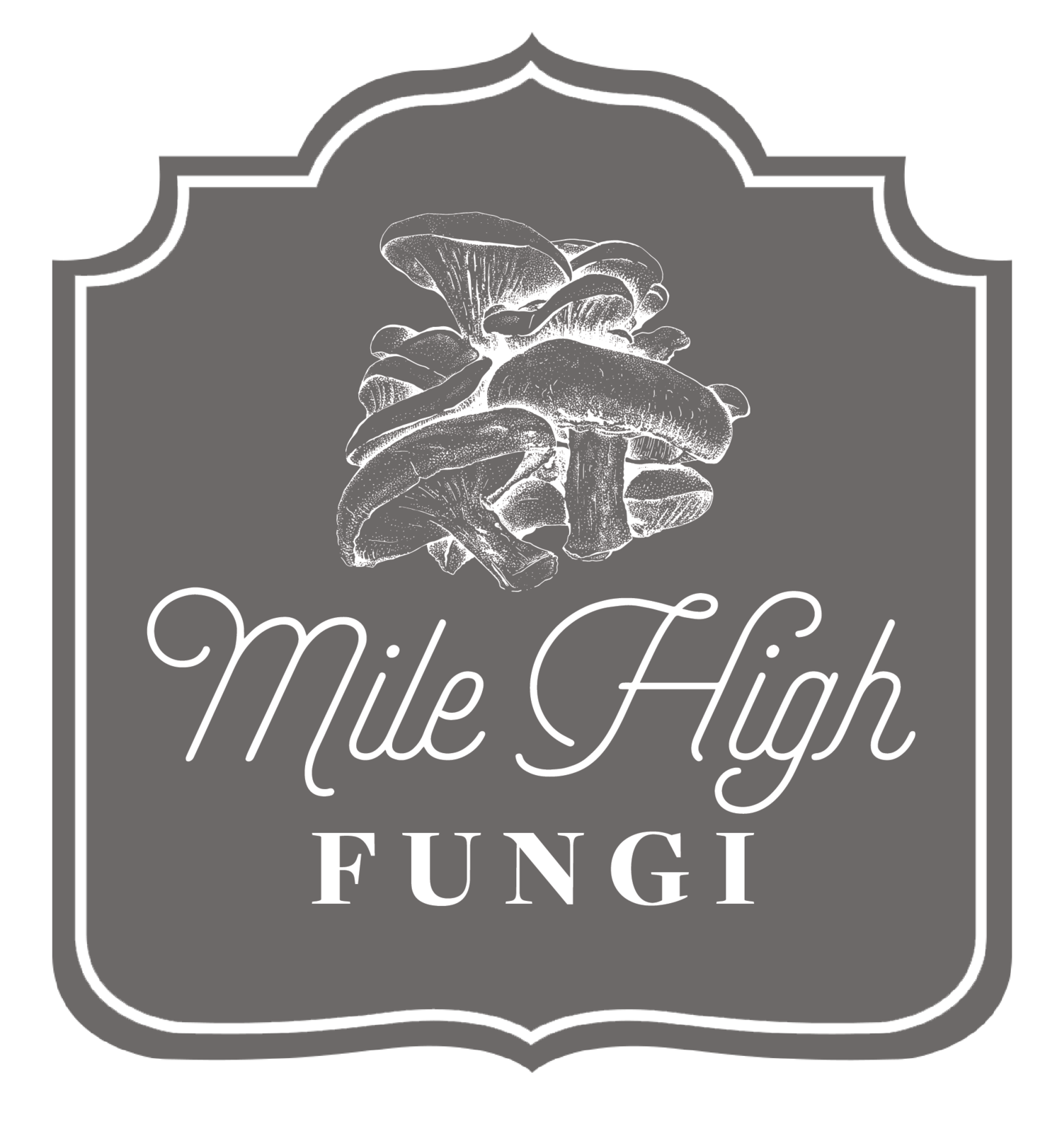 Mile High Fungi