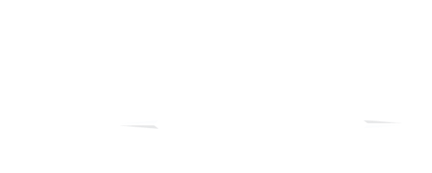 Spartan Realty