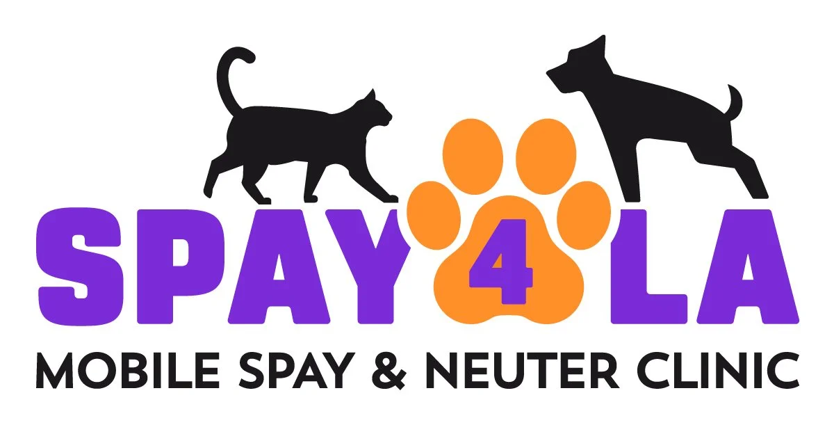 Spay 4  LA