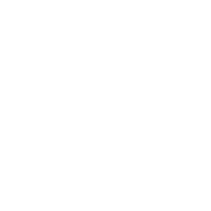 Robert F. Kennedy Human Rights Foundation Switzerland