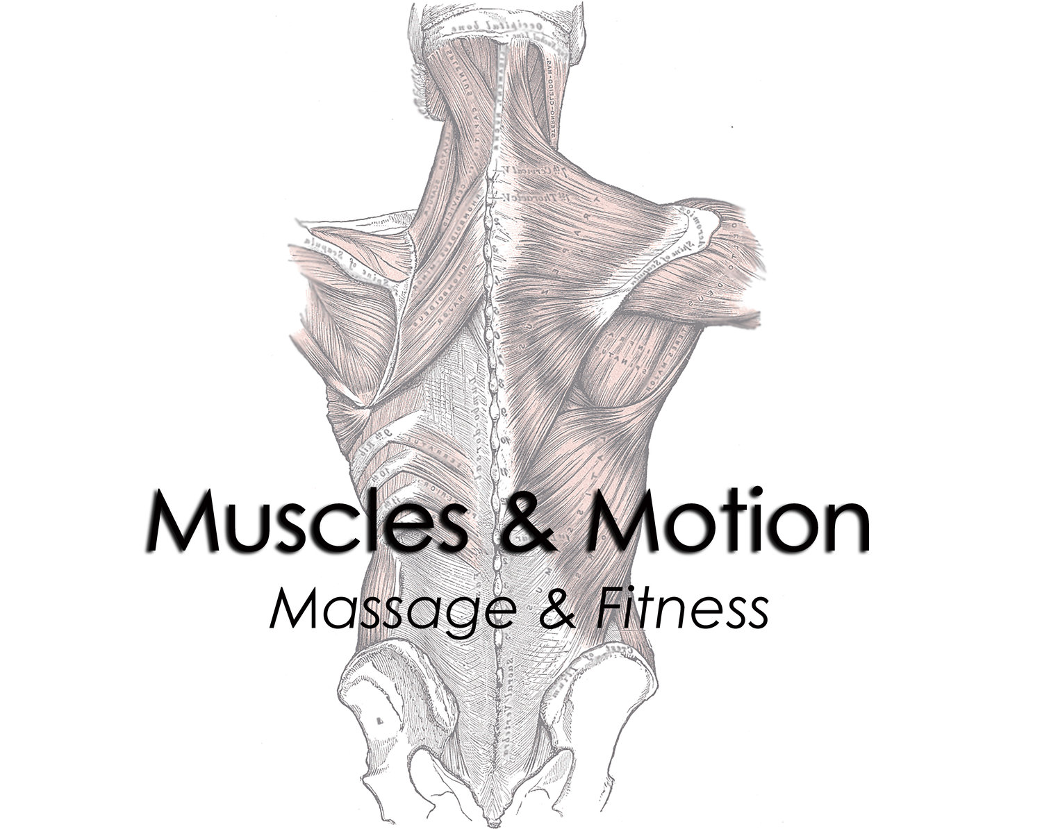 Muscles & Motion