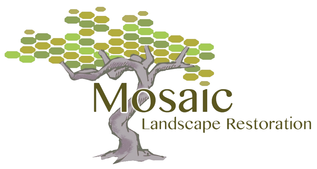 Mosaic Landscape Restorations