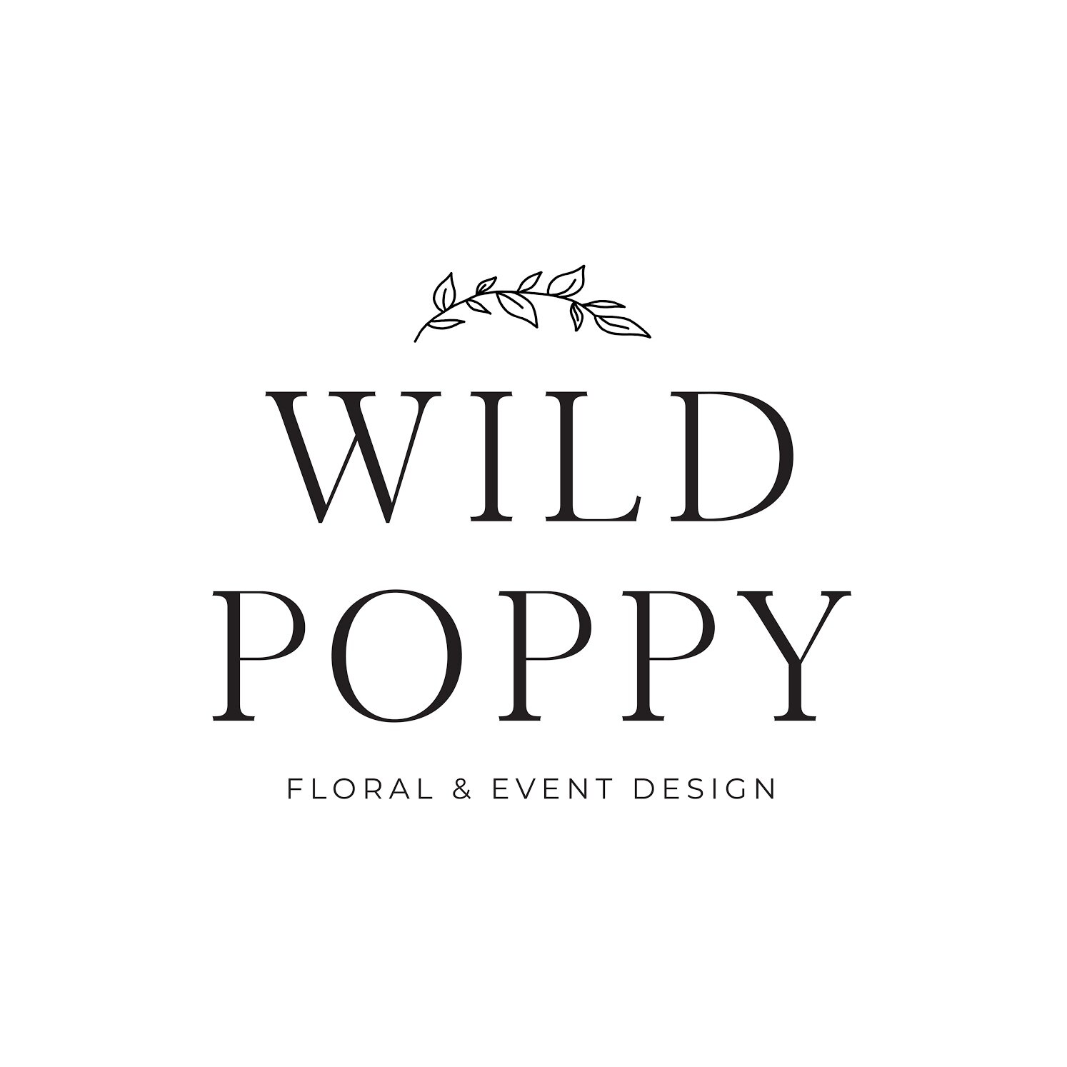 Wild Poppy