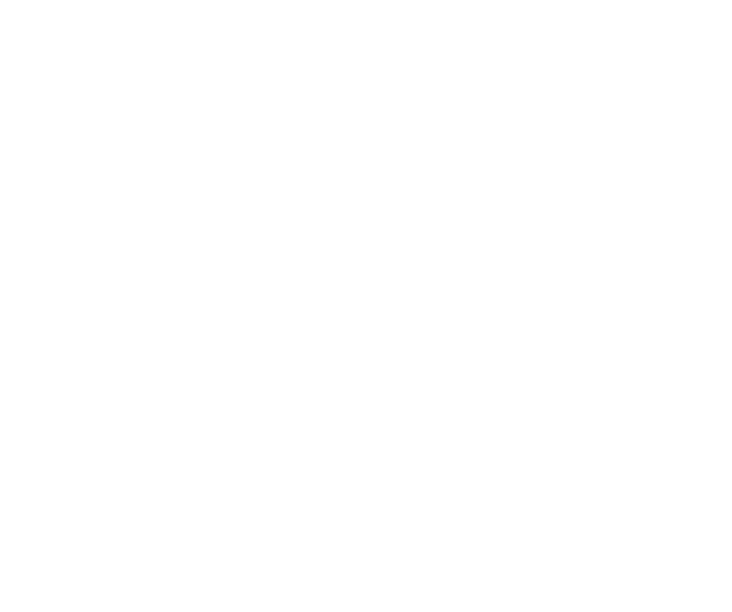 Northern Virginia Women's Rugby