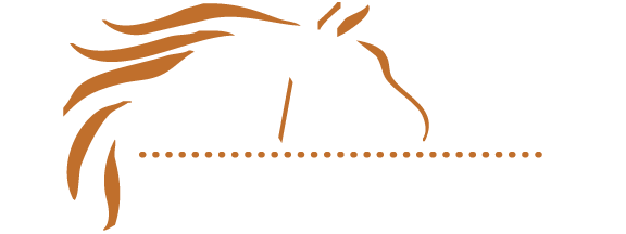 M/M Equine Spa and Rehab Center