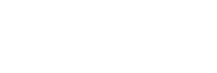 THE VIRTUAL REALITY COMPANY