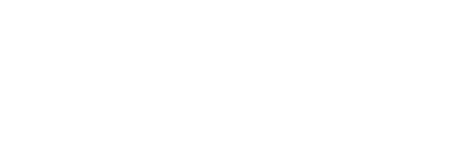 Datametric