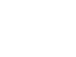 NOISE & VIBE, LLC