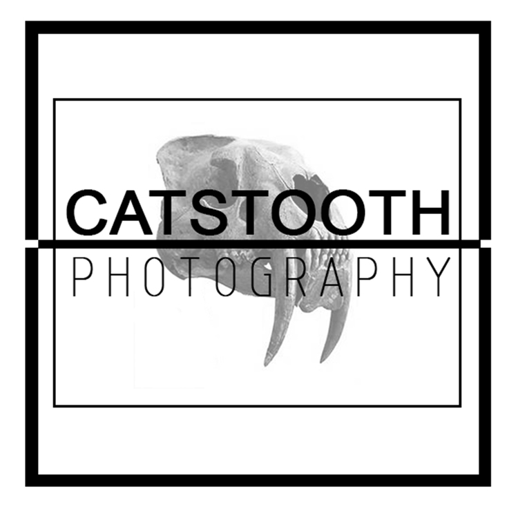 Catstooth Photography