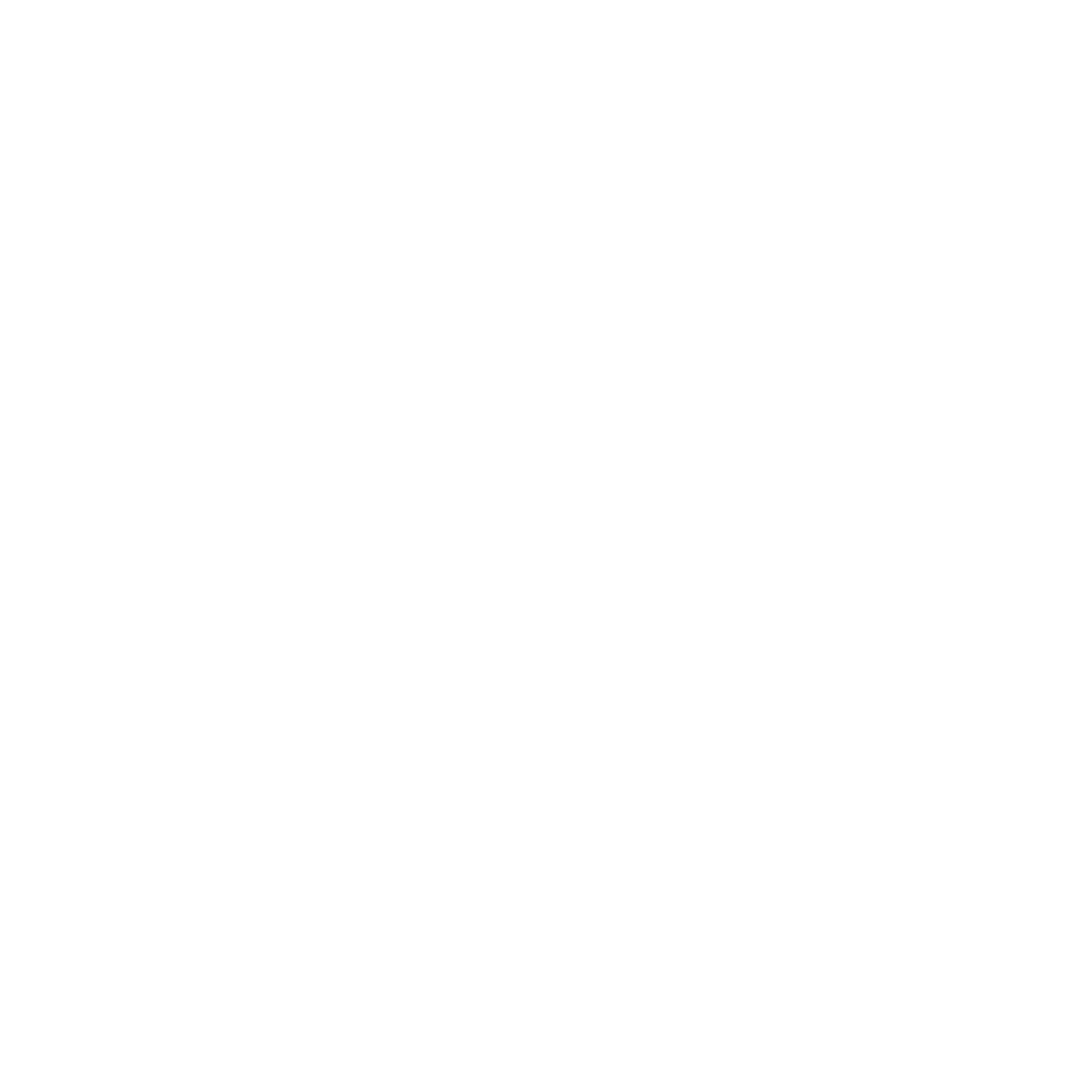 Ray Photography Co. 