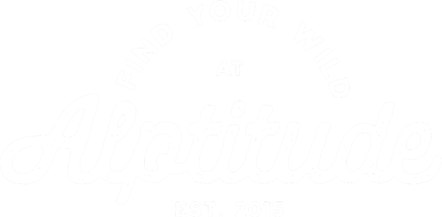 Alptitude – the week that dreams are made of