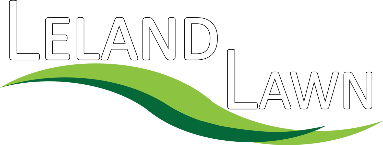 Leland Lawn