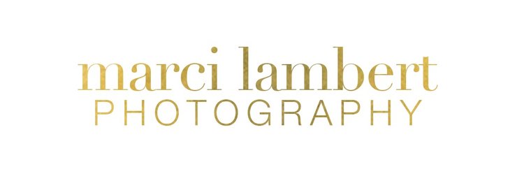 Marci Lambert Photography