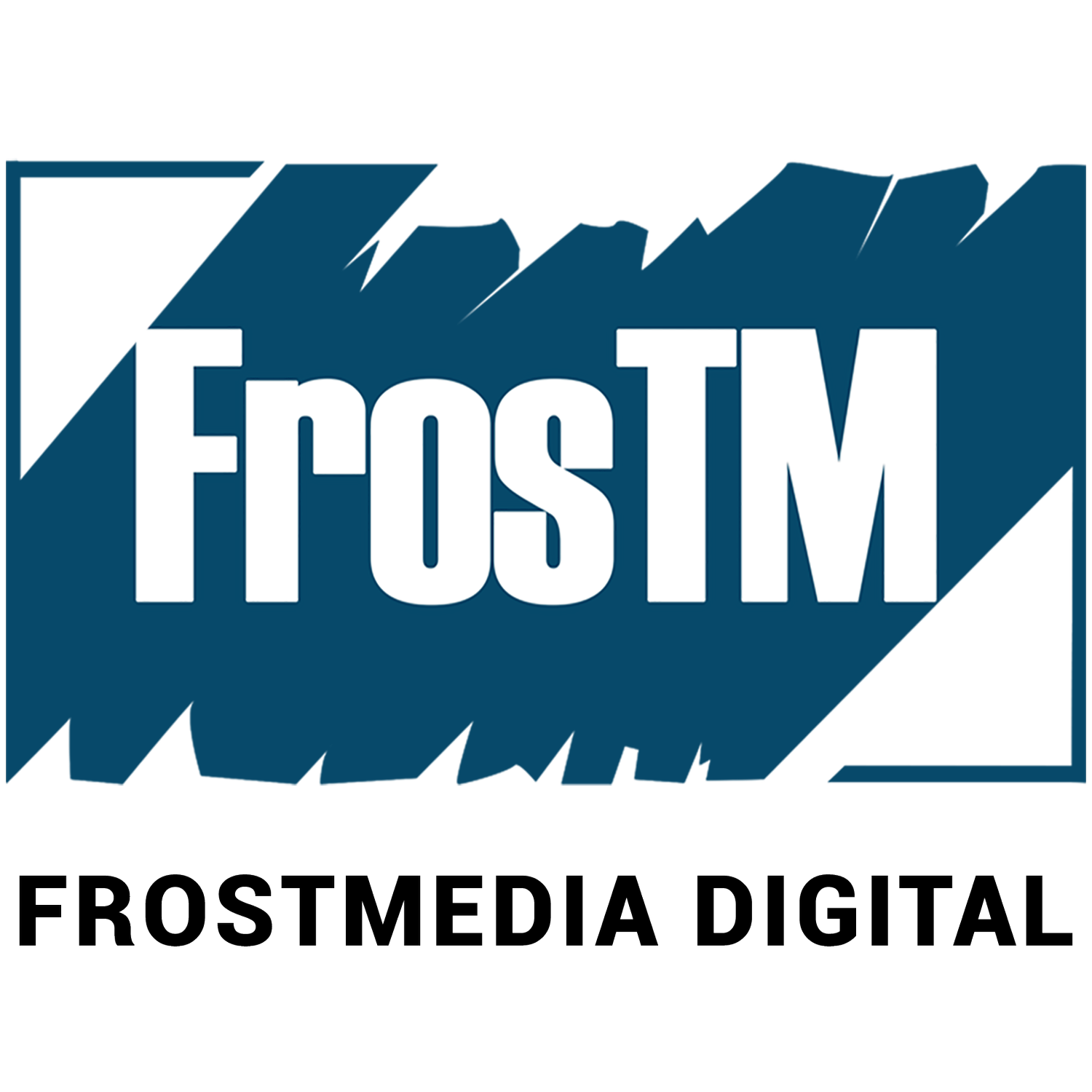 Frostmedia Digital