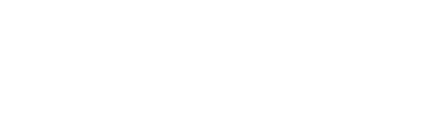 VanZandt.net