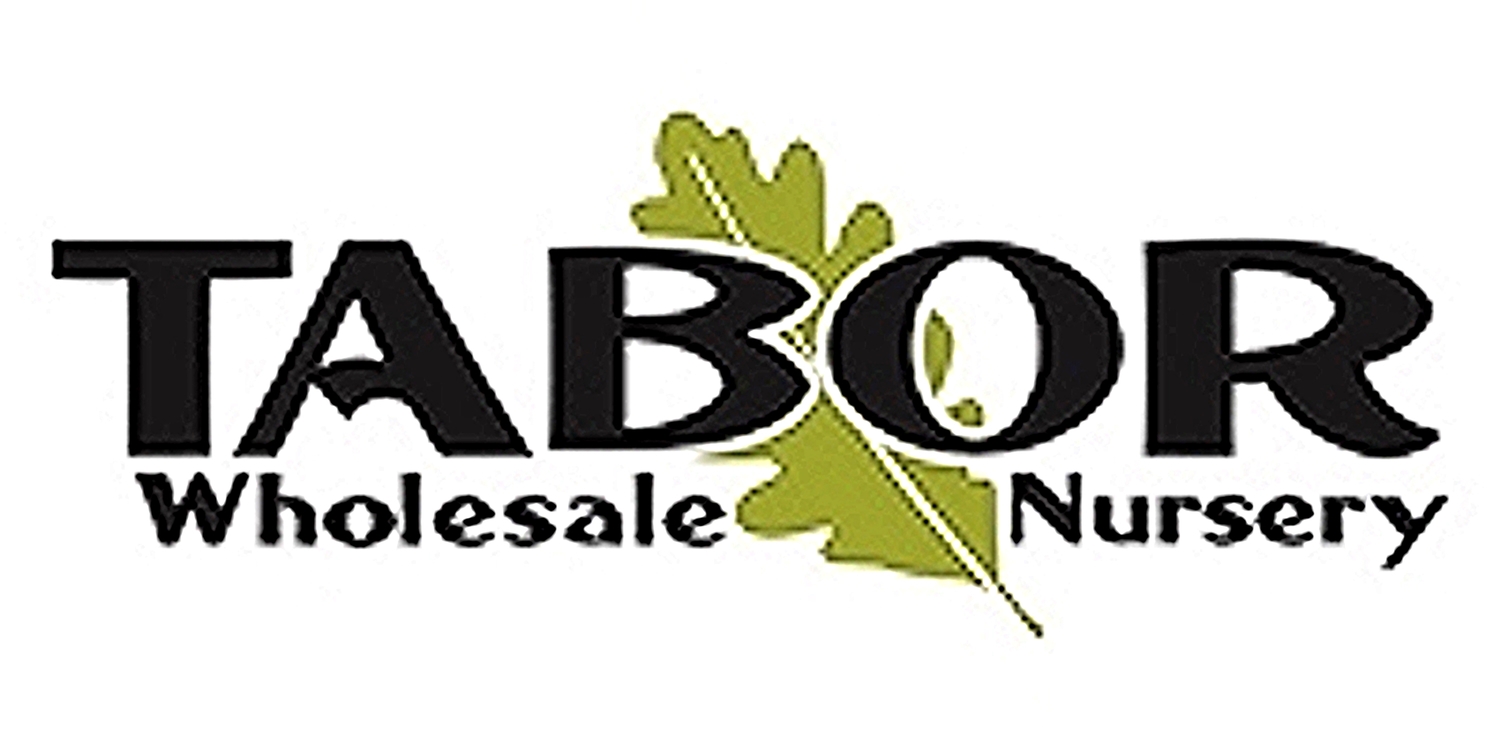 Tabor Wholesale Nursery