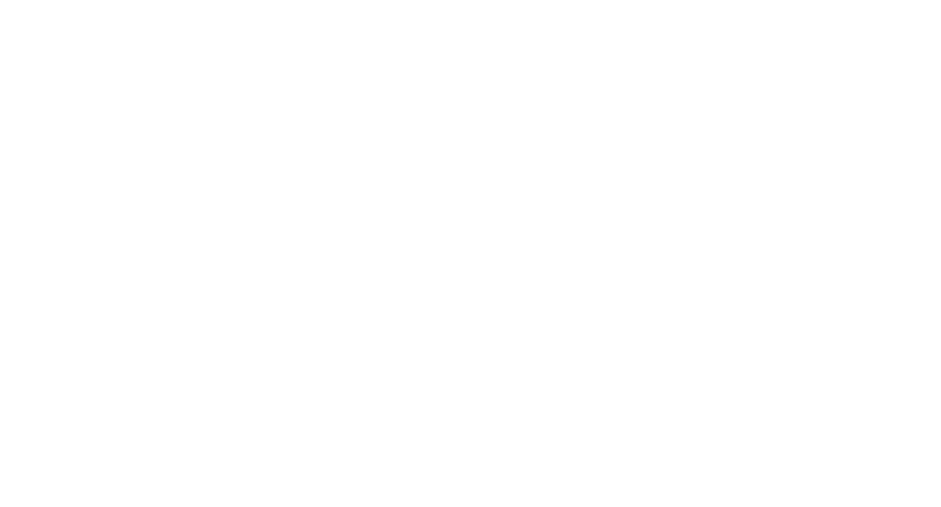 Suzy & The Bird Dogs