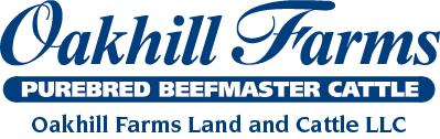 Oakhill Farms Beefmasters