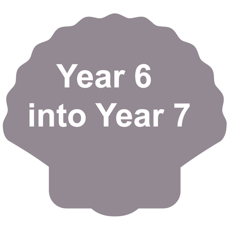Year 6 into 7年 Shell graphic