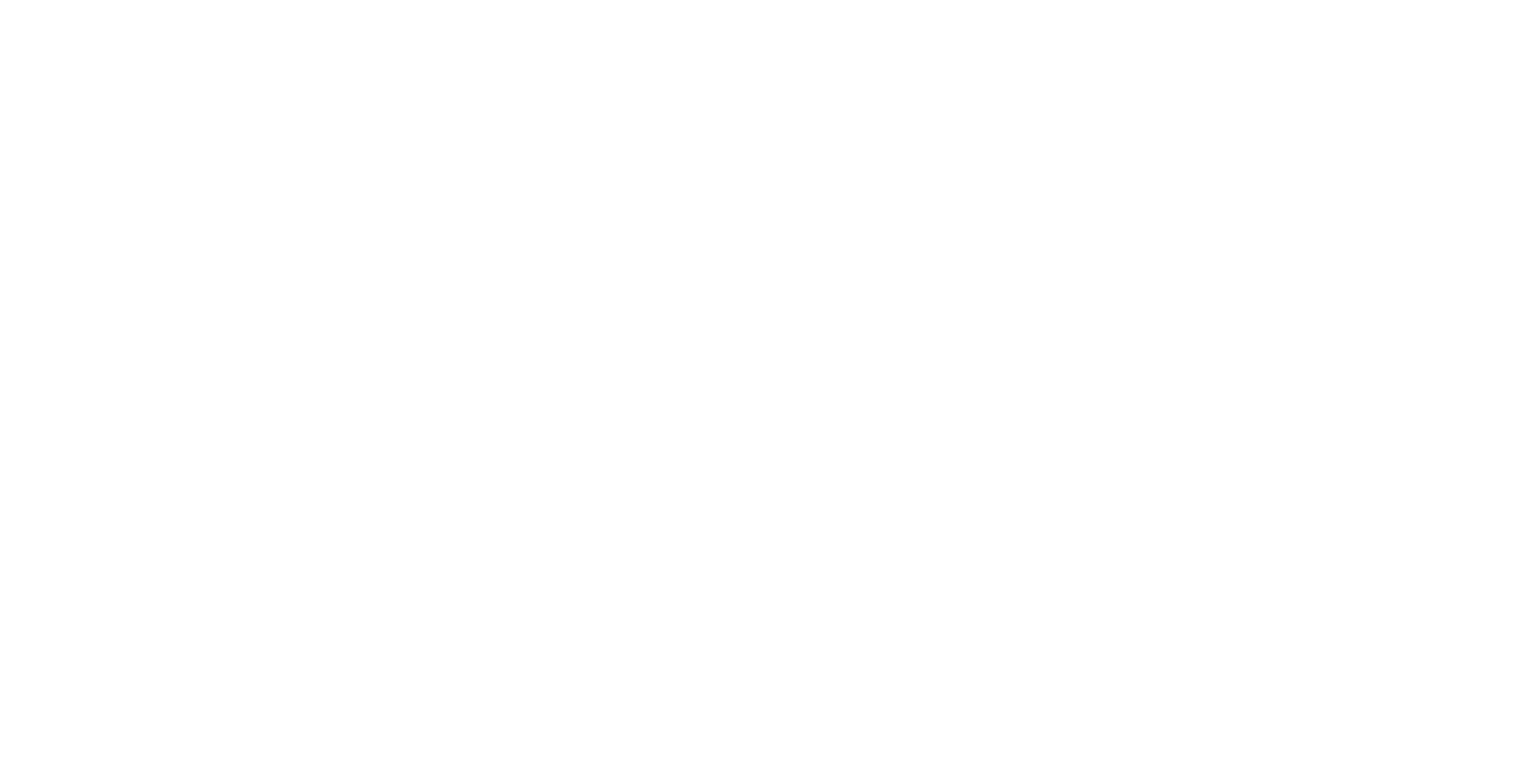 Aaron Berofsky, violin