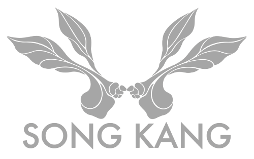 Song Kang Art