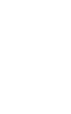 S2 Style