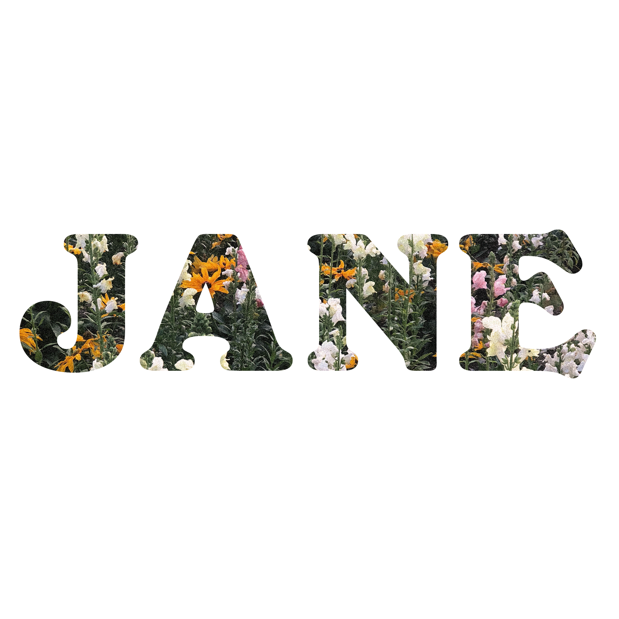 Hi, I&#39;m Jane. 