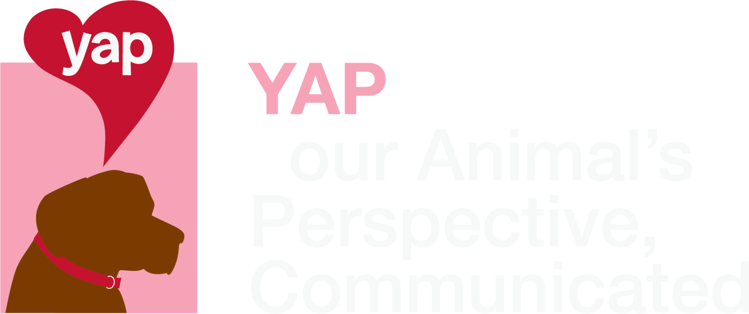 YAP Animal Communication