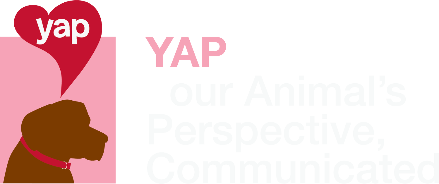 YAP Animal Communication