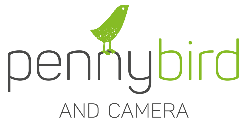 pennybird and camera