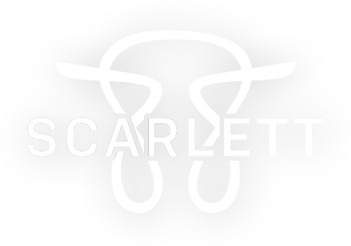 Scarlett 88