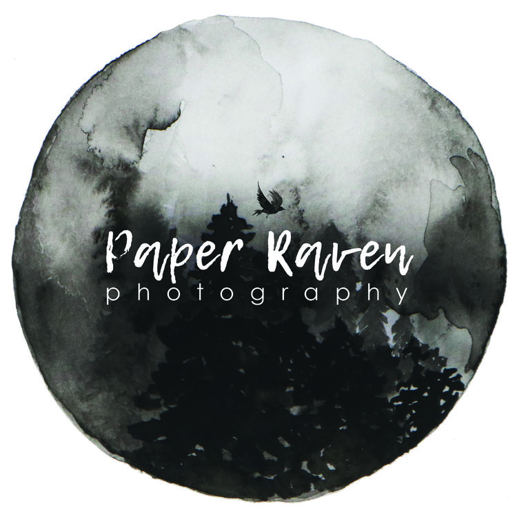 Paper Raven Photography