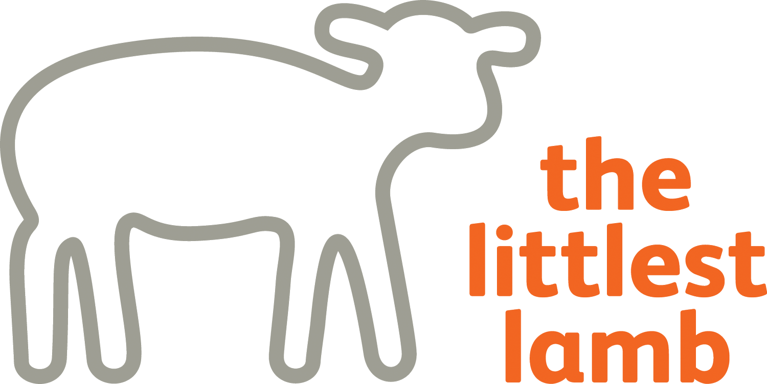 The Littlest Lamb