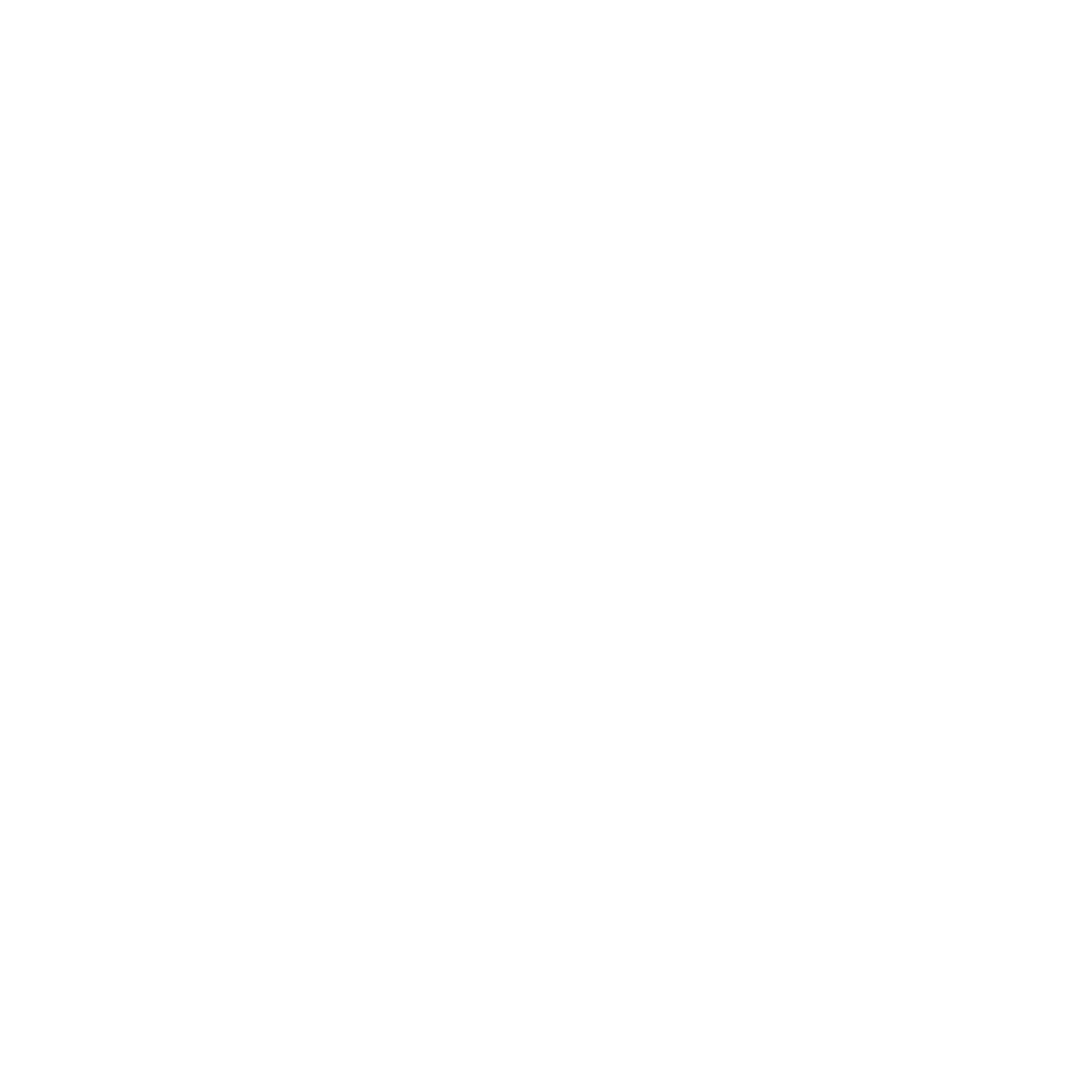 G&D Security