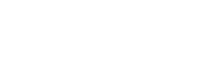 DREAM TEAM DYNAMICS