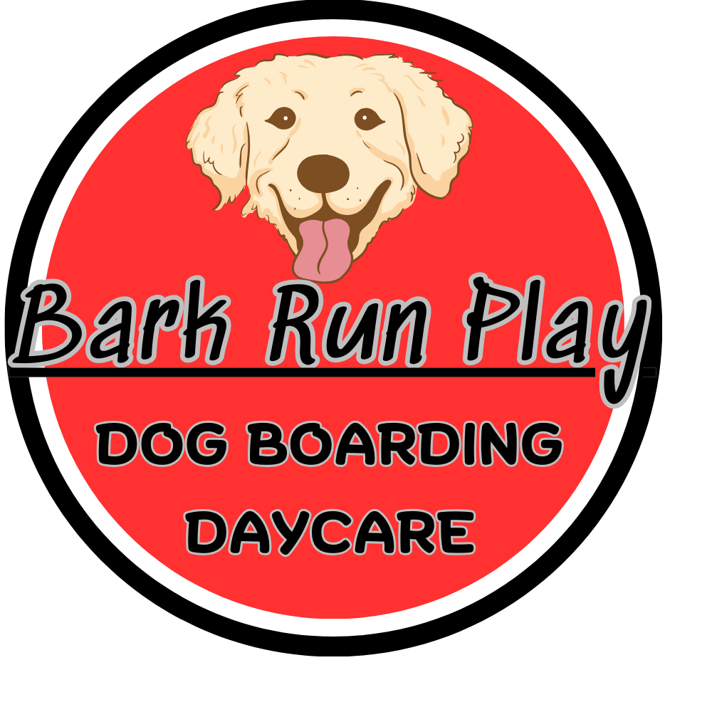 Bark Run Play