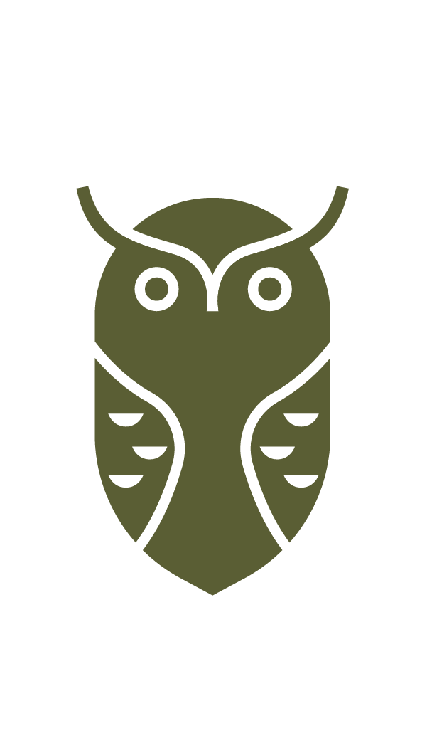 Owl and branch