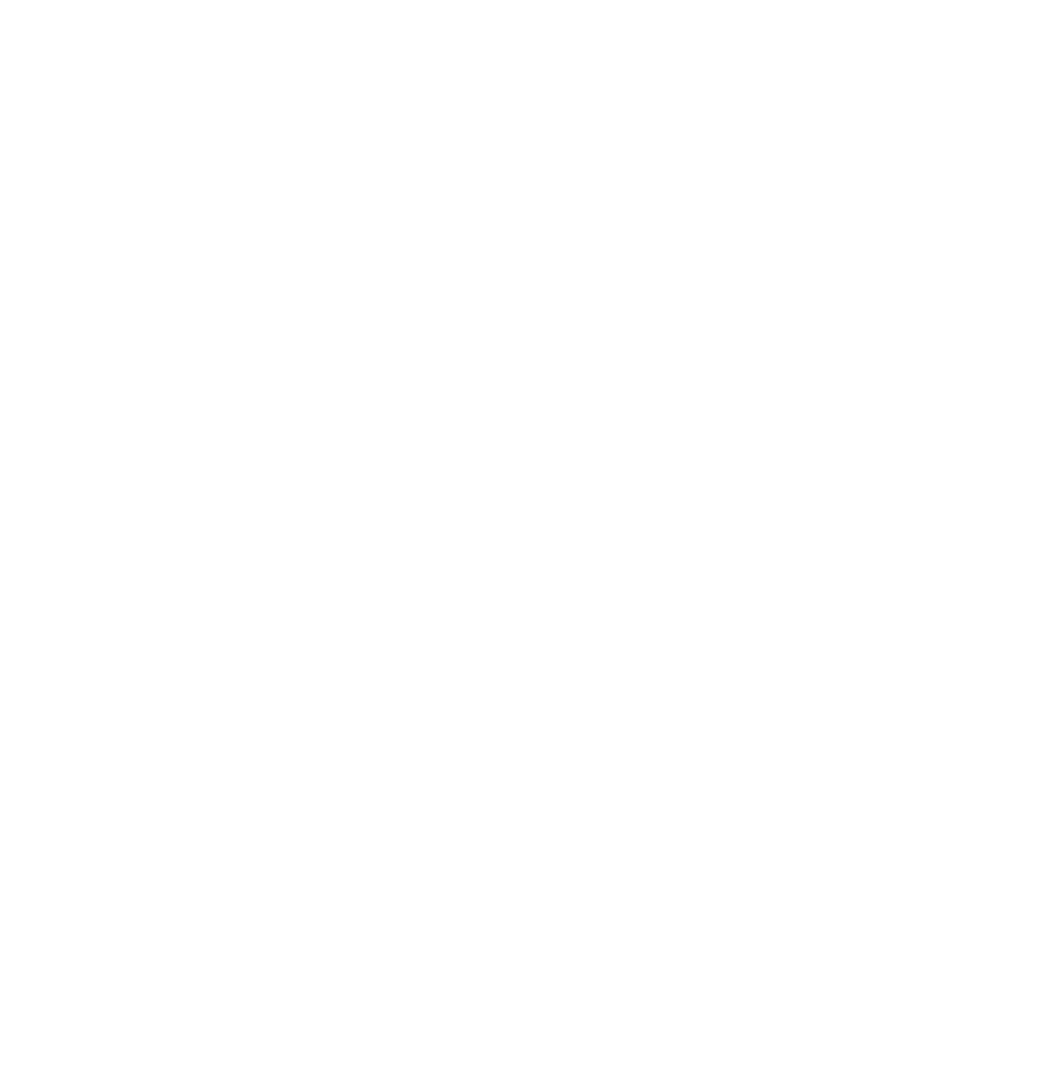      SuSanne Schmidt  