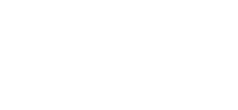 Platinum Auto Glass