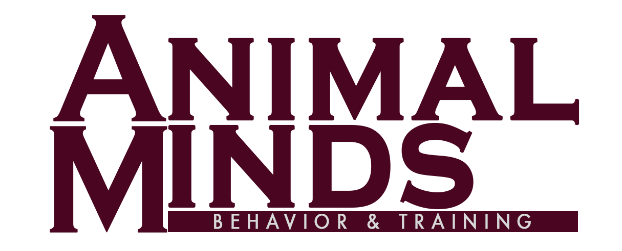 Sacramento Dog Training - Animal Minds Behavior & Training