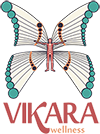 VIKARA WELLNESS Retreats & Holistic Health Services