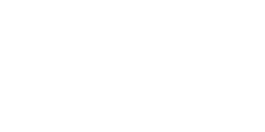 Azareen Van Der Vliet Oloomi
