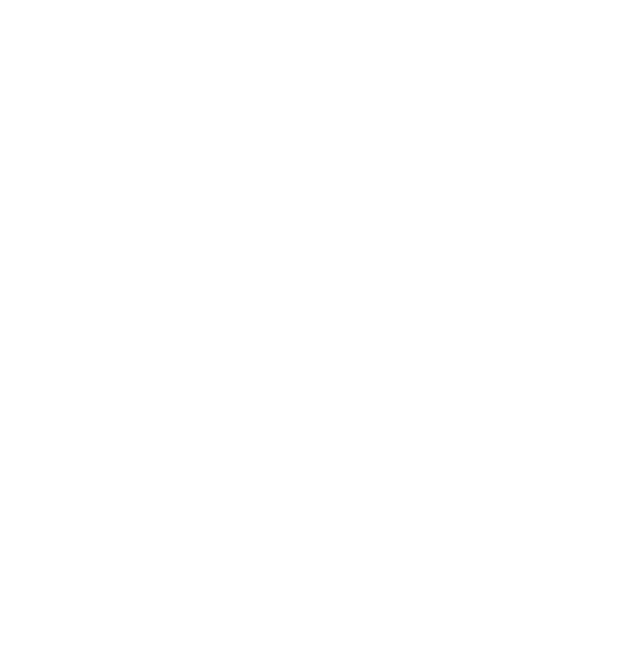 Shaunyshow Portfolio