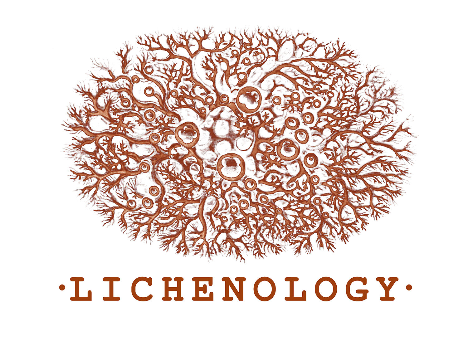 Lichenology 
