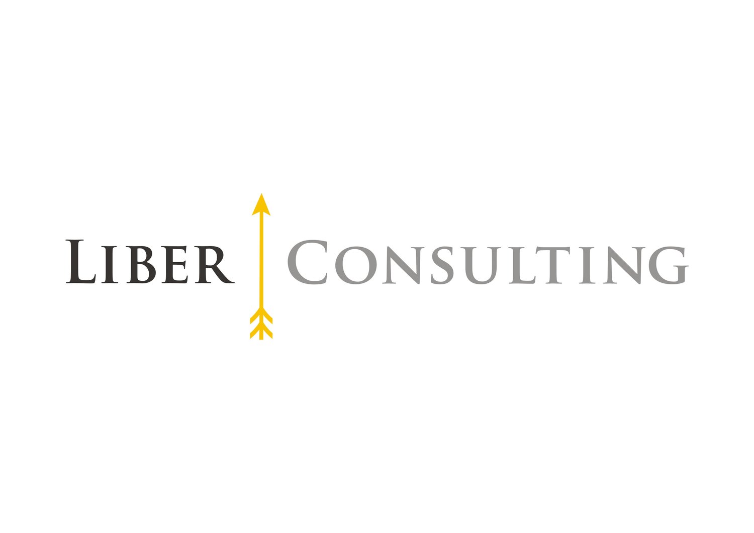 Liber Consulting