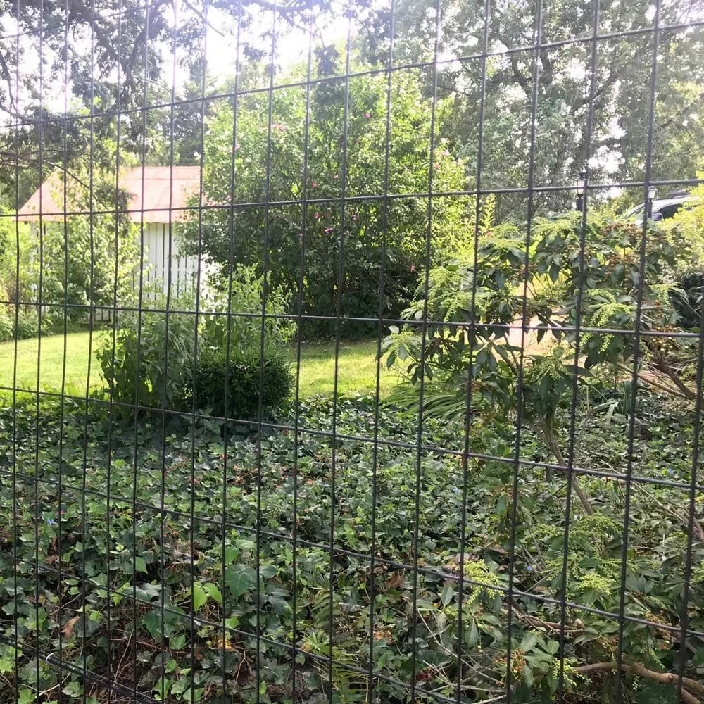 metalic fence